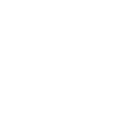 Remote Icon
