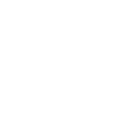 Guard Icon