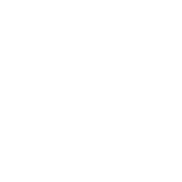 Schritt 4 Icon
